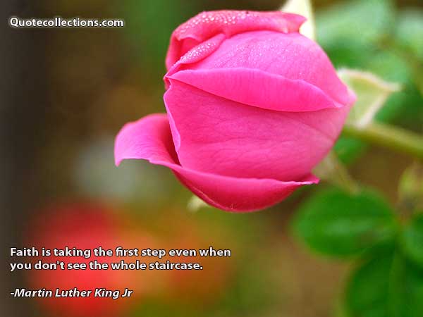 Martin Luther King, Jr. quotes3